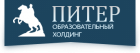 Институт развития образования, Институт развития образования