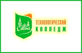 Технологический колледж, Технологический колледж