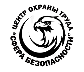 Сфера Безопасности, Сфера Безопасности