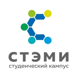 Саянский техникум СТЭМИ, Саянский техникум СТЭМИ