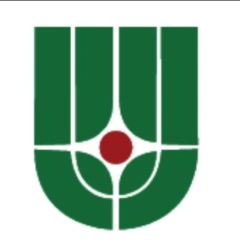 НИЦ «Курчатовский институт», Национальный исследовательский центр «Курчатовский институт»