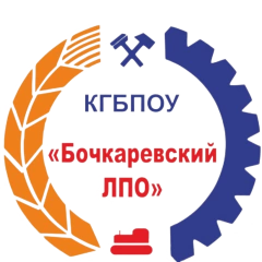 Бочкаревский лицей профессионального образования, Бочкаревский лицей профессионального образования