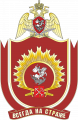 Санкт-Петербургский военный ордена Жукова институт войск национальной гвардии Российской Федерации