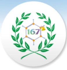 СОШ № 167, Средняя общеобразовательная школа № 167